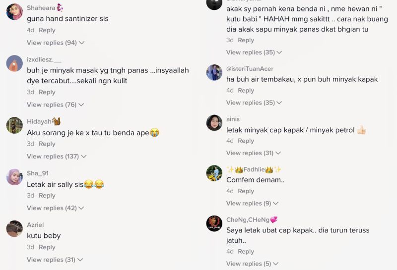 cekenit 3