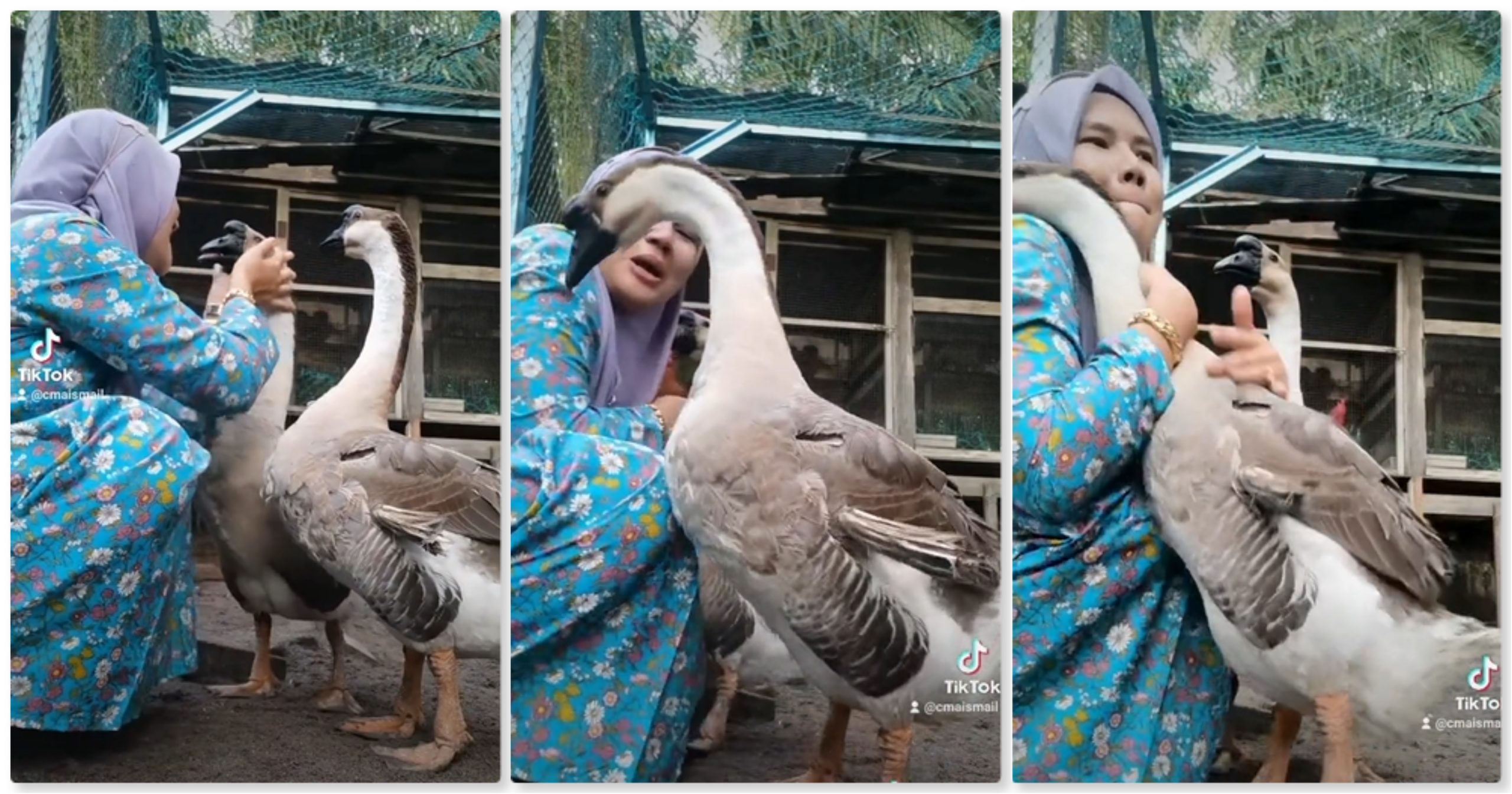 G4ngster Kampung Kena Manja, Aks1 wanita pelvk g4ngster kampung cvri perhatian ramai_61d6979c6bfc3.jpeg