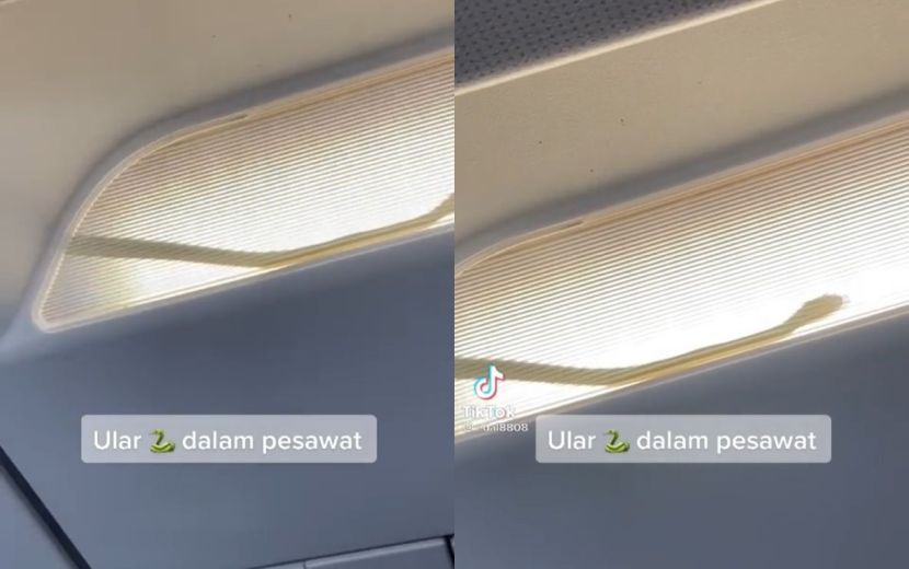 Gempar ular ‘naik’ pesawat ke Sabah! Penumpang sangka pendaratan kecem4san sebab cuaca, pelik bomba tunggu depan pintu_6205fc9440e98.jpeg