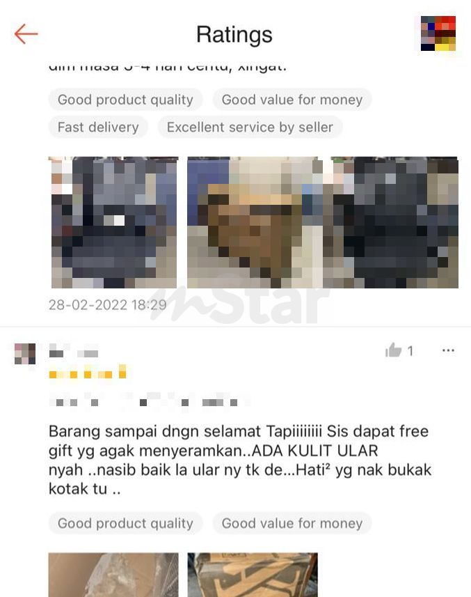 kulit ular 5