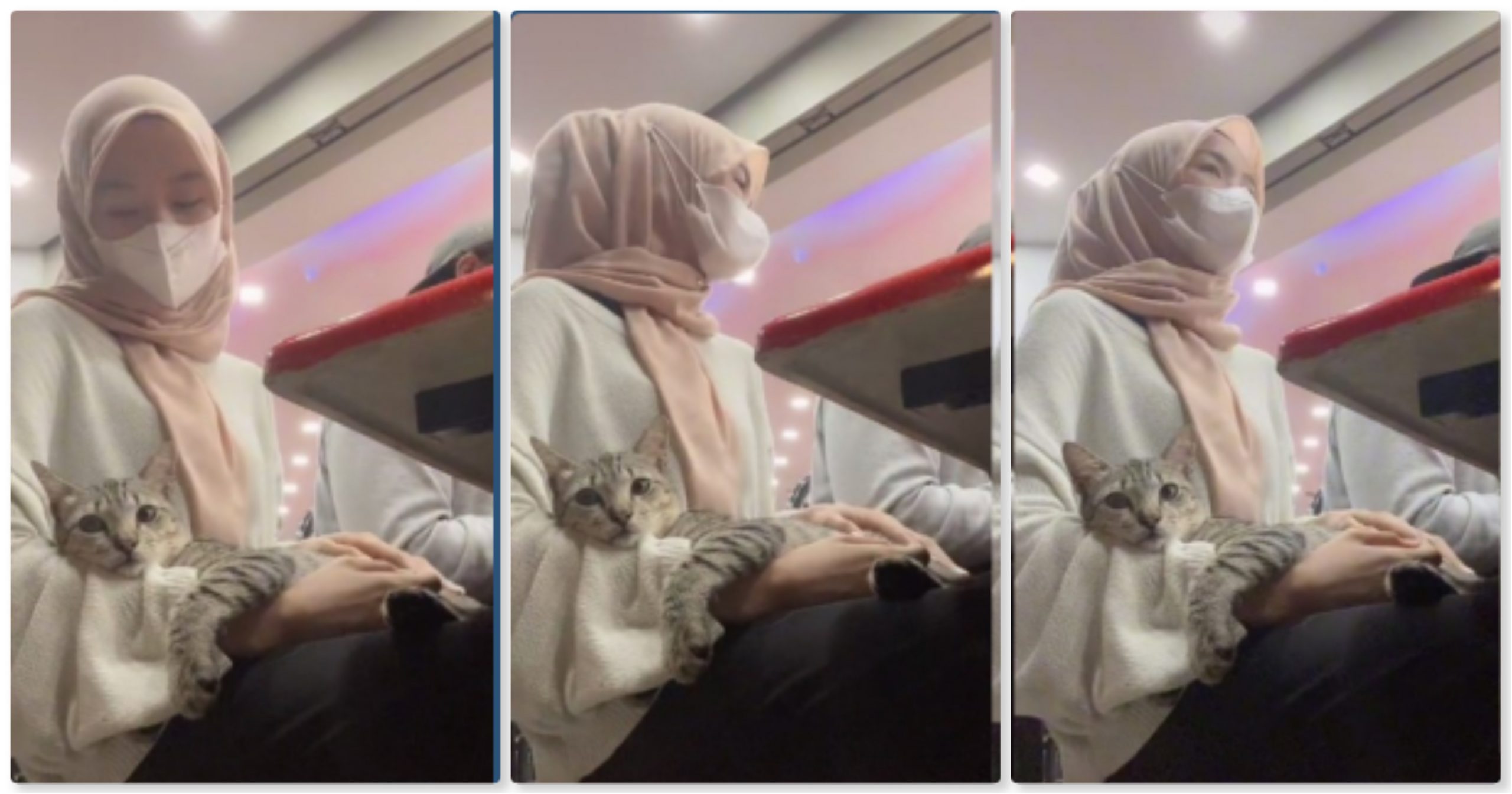 Kucing Duduk Di Pangkuan Gadis, Telatah Manjanya Pula Buat Ramai ‘Cair’, “Comel G1la…”_6228544b8259a.jpeg