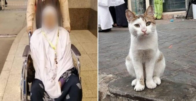 Berkat Menolong Seekor Kucing di Makkah, terkejut Apa Yang Berlaku Kepada Jemaah Wanita Yang Uzvr Ini Tidak di Sangka-Sangka_6253ab25ef6f1.jpeg