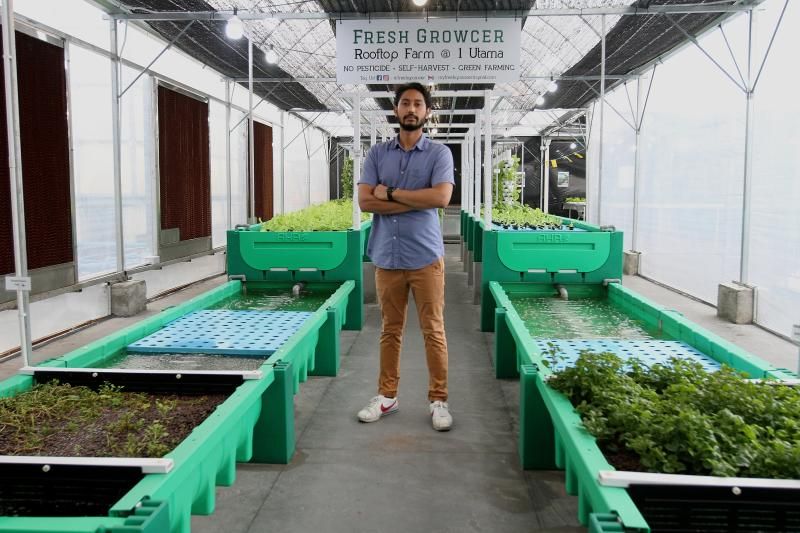Fresh Growcer terletak di atas bumbung pusat beli-belah One Utama. Foto/The Star SHAARI CHE MAT 