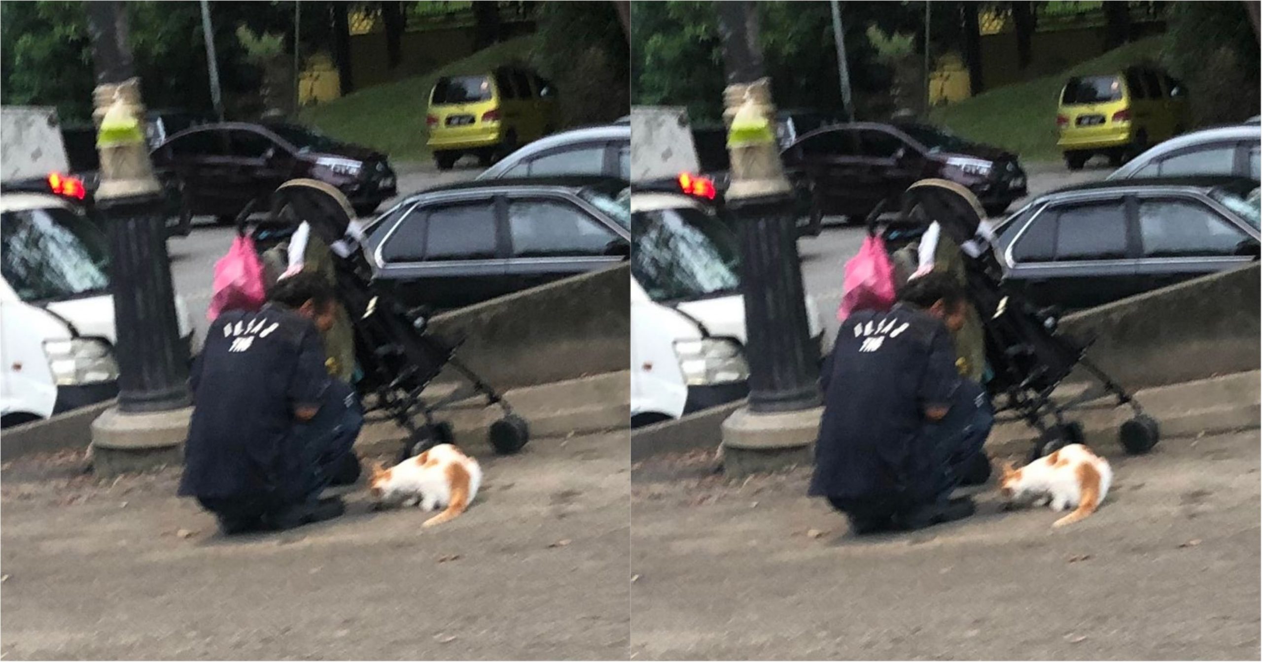 Siapa gerangan lelaki kurang s1uman bawa patung bayi dalam stroller? Ramai hulur makanan tapi dikongsi pula dengan kucing jalanan_6260be1ea6ce7.jpeg